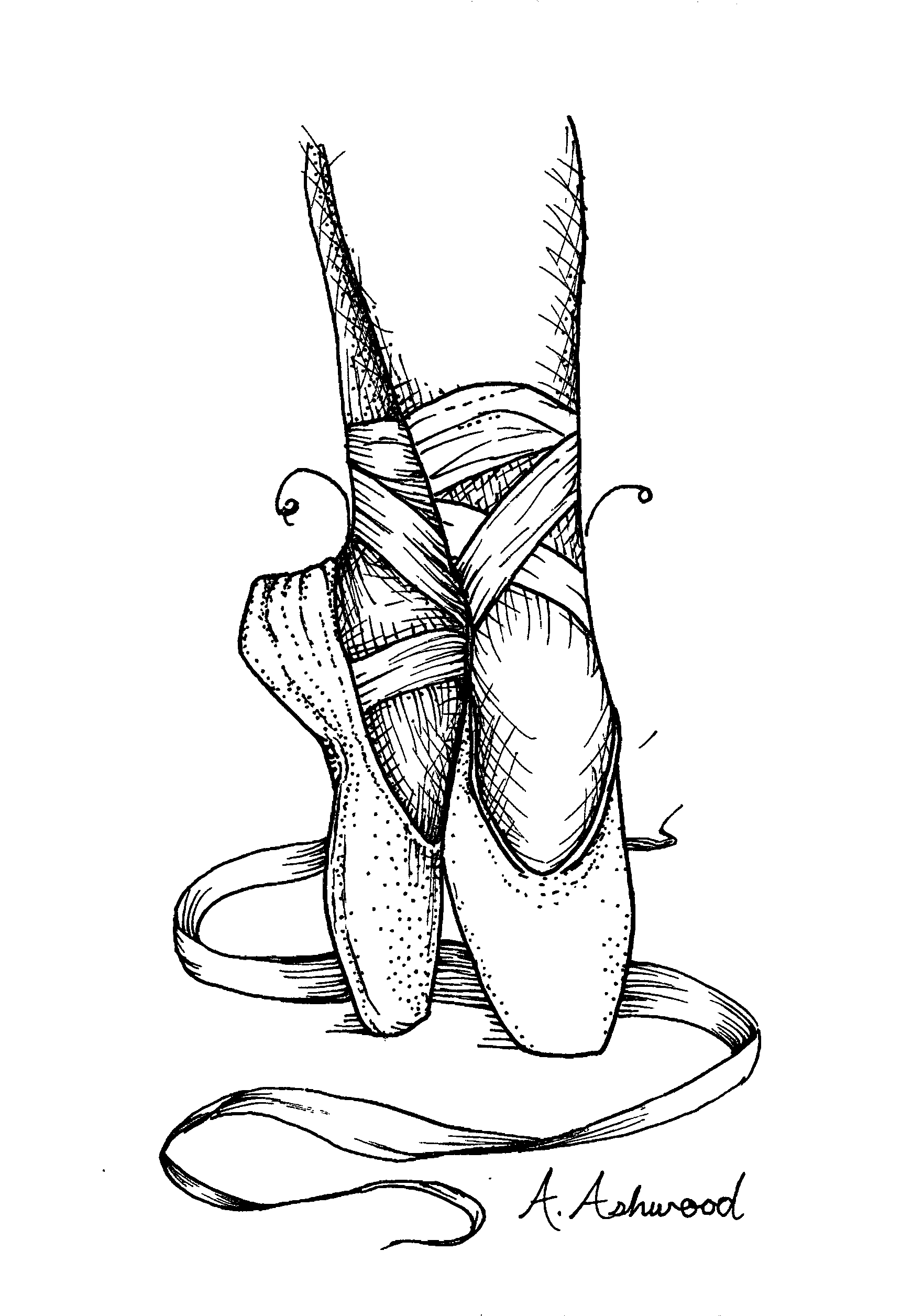 Ballet Pointe Shoes Art Print