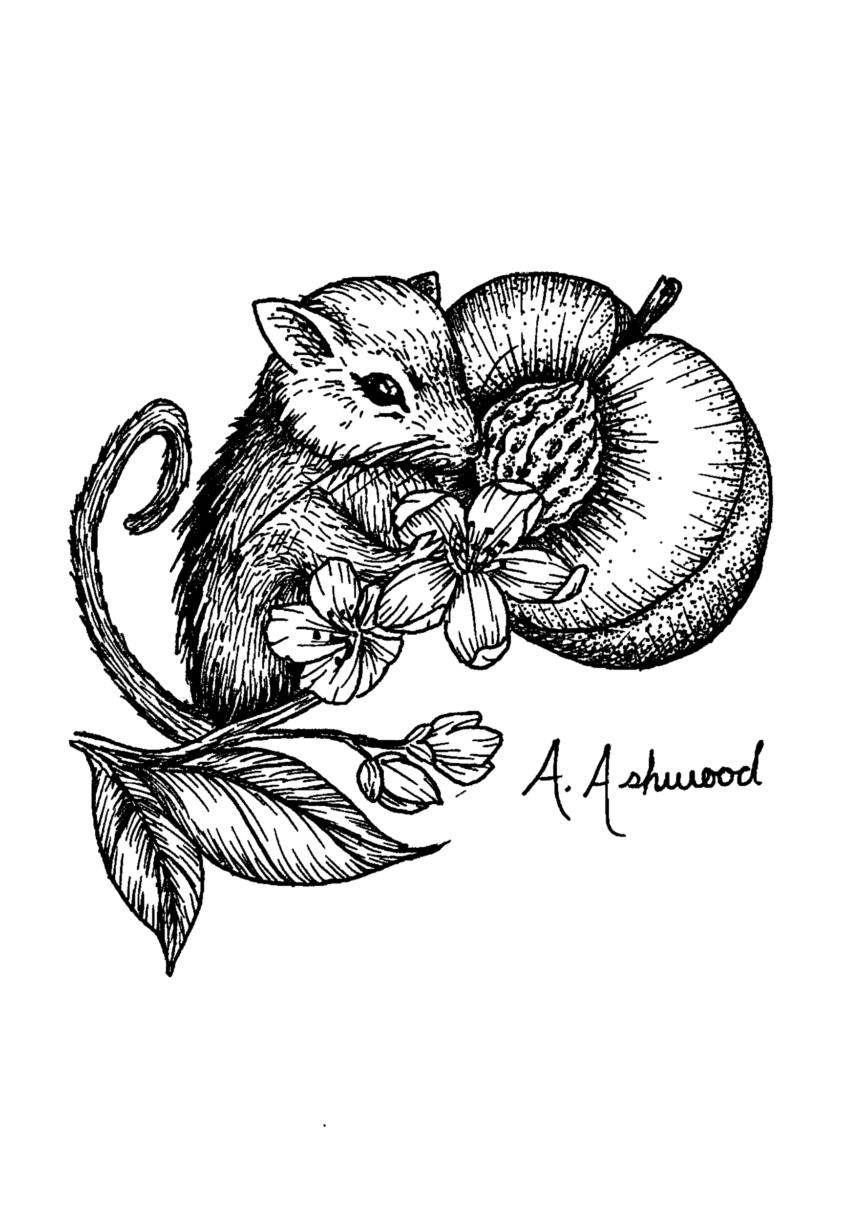 Dormouse & Peach Art Print