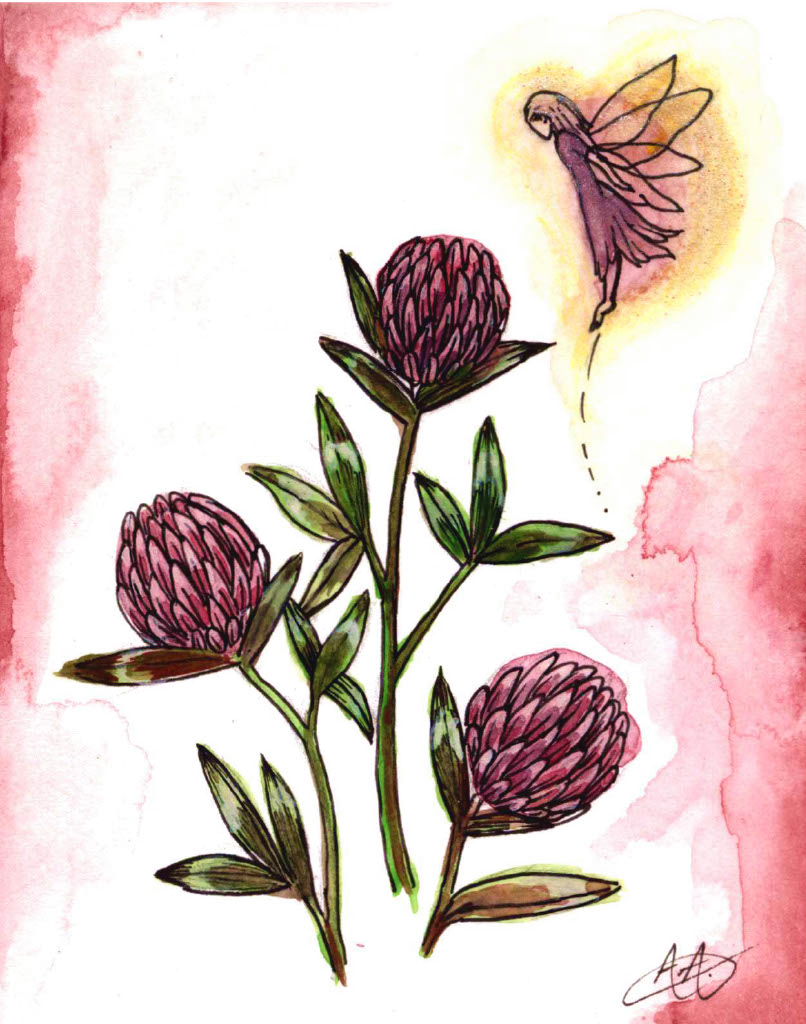Red Clover Fairy Botanical Watercolor Print – Ethereal Nature Fantasy Art
